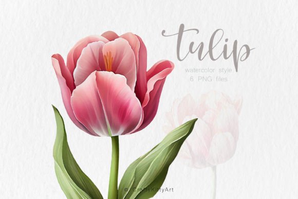 Download Tulip Clipart, Watercolor Flower Bundle - Watercolor flower bundle Collection