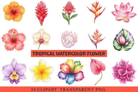Download Tropical Watercolor Flower Bundle - Watercolor flower bundle Collection